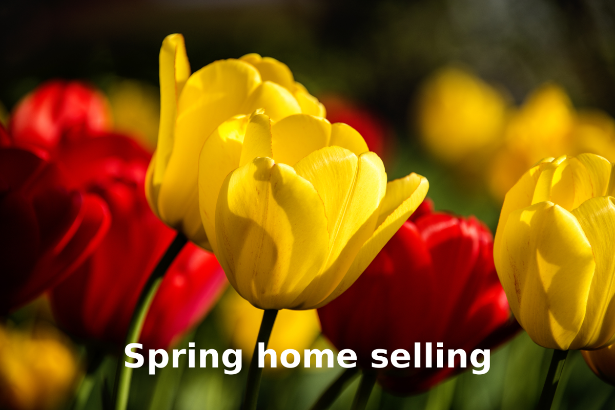 Spring home selling tips for Jean-Luc Andriot blog 022318