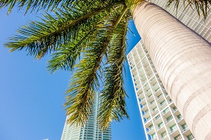 Depiction of Highland Beach real estate showing condos and palm trees against a blue sky