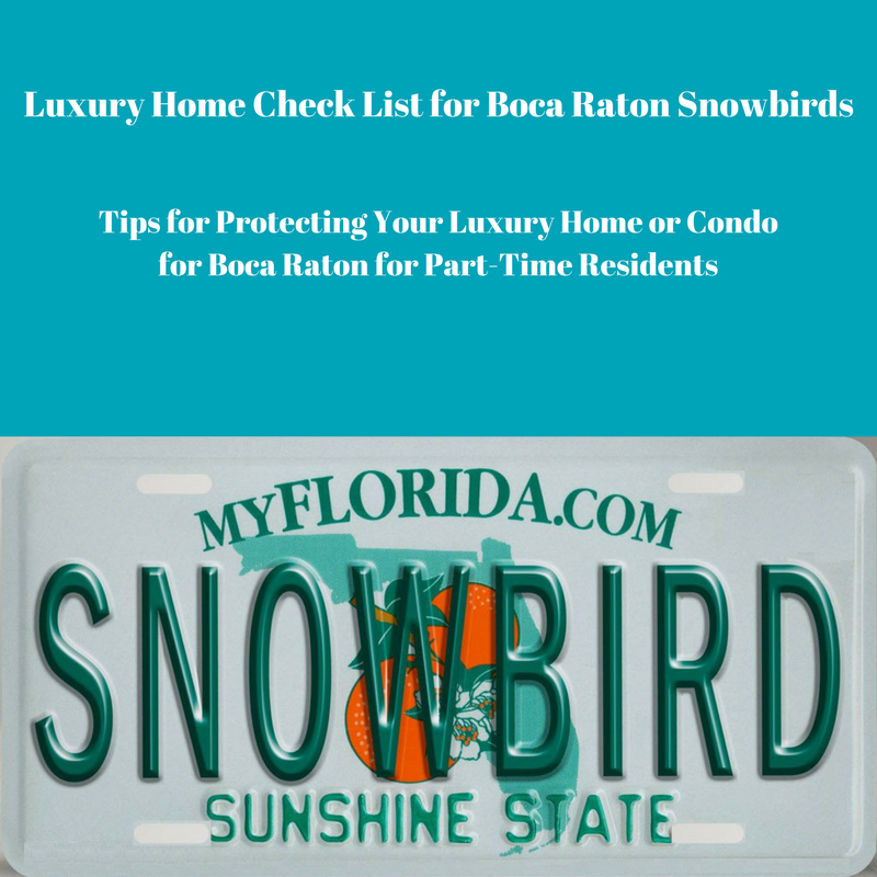 Snowbird licence place with snowbirds tips for Jean-Luc Andriot blog 031218
